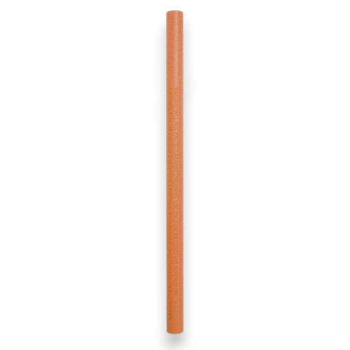 Picture of AQUA BONE NOODLE 48 INCH ORANGE